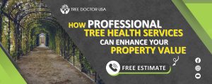 Tree Health Services
