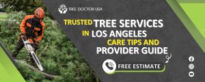 Tree Services in Los Angeles