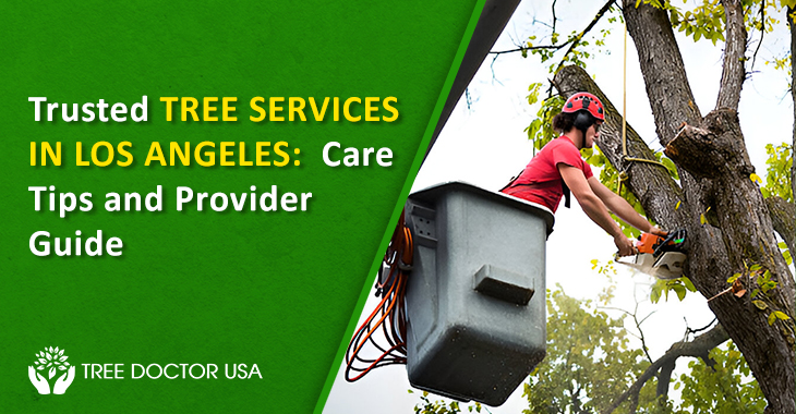 Tree Services in Los Angeles