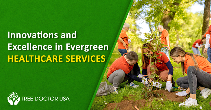 Evergreen Healthcare Services