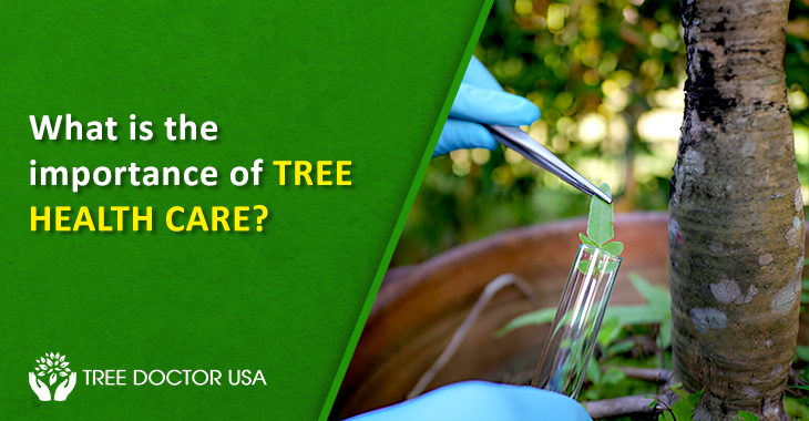 tree health care