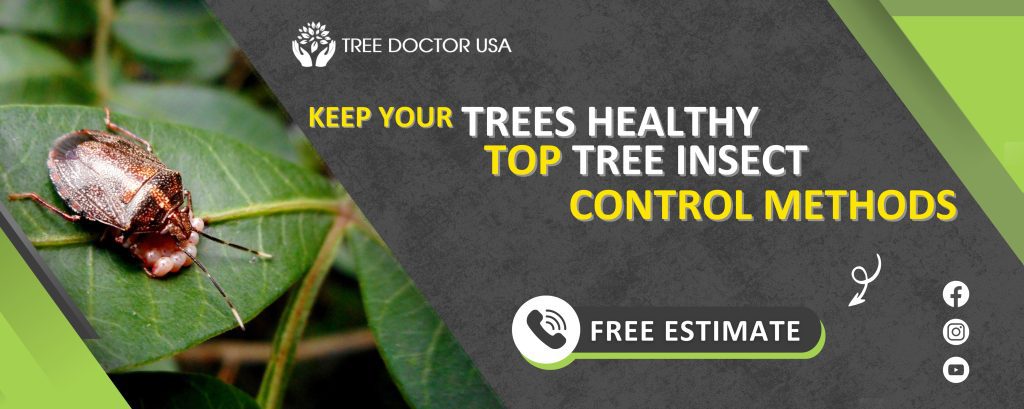 Keep Your Trees Healthy: Top Tree Insect Control Methods