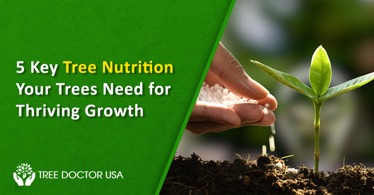 Tree Nutrition