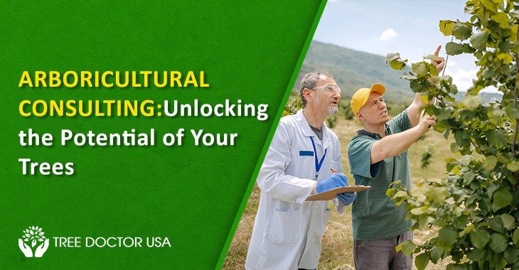 Arboricultural Consulting