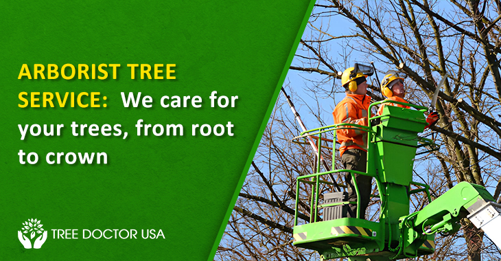 Tree Service Company