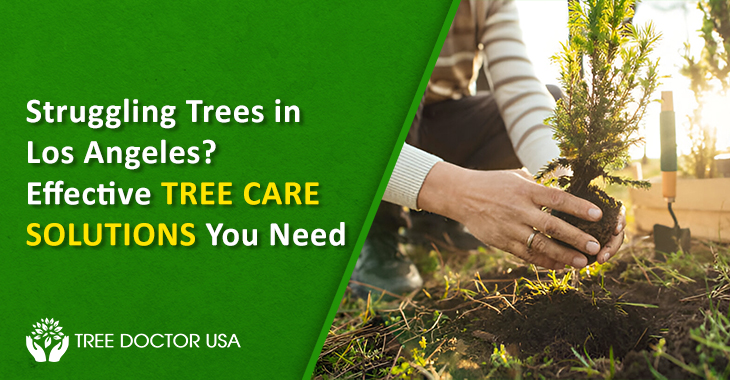 tree care in Los Angeles
