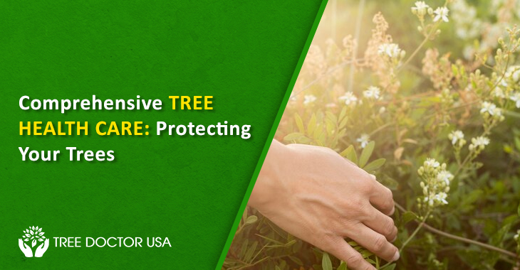 Tree Healthcare Service