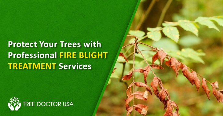 Fire Blight Treatment Services