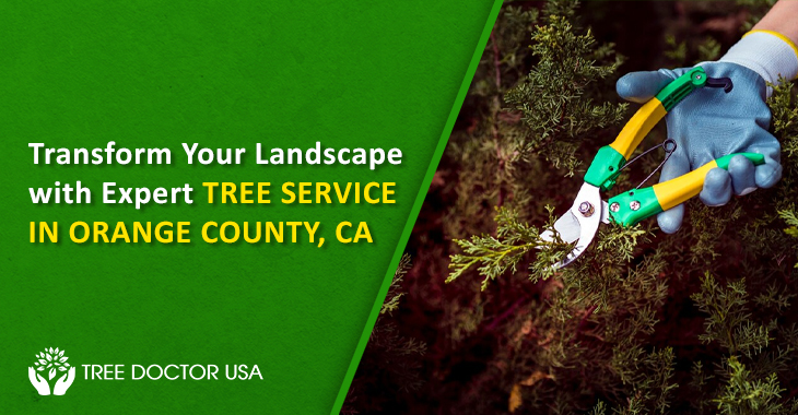 tree service orange county ca
