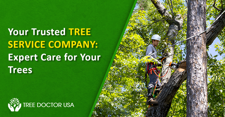 Tree Service Company