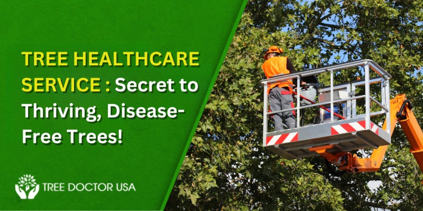 Tree Healthcare Services