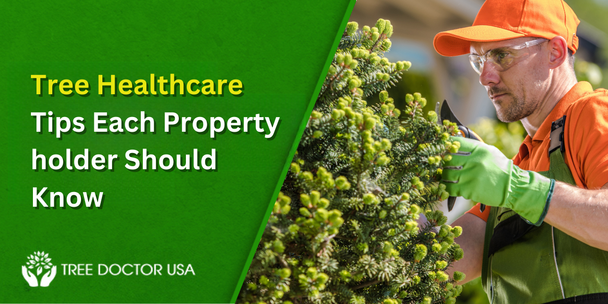 Tree Healthcare Service