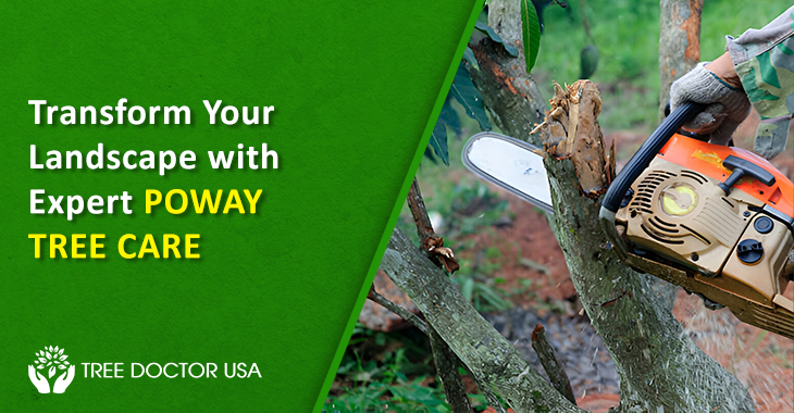 Poway Tree Care Services