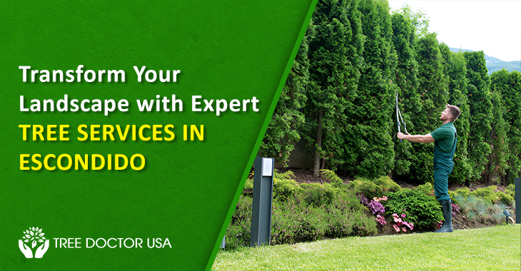 Tree Healthcare Services in Escondido