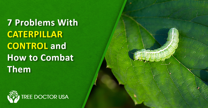 Caterpillar Control