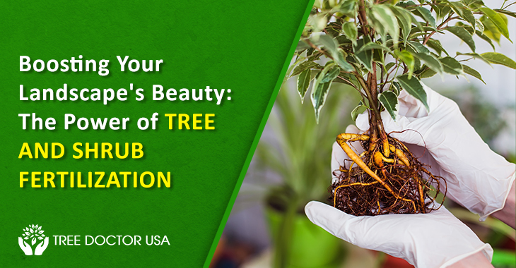 Tree and Shrub Fertilization