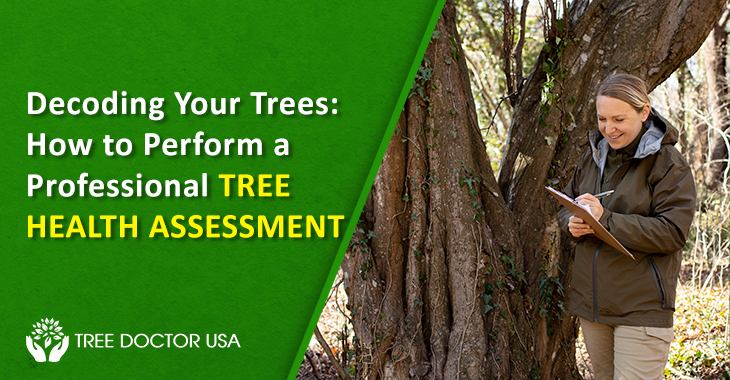 Tree Health Assessment