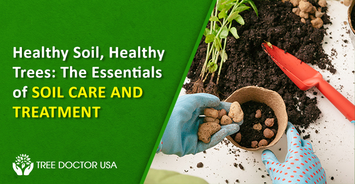 Soil Care and Treatment