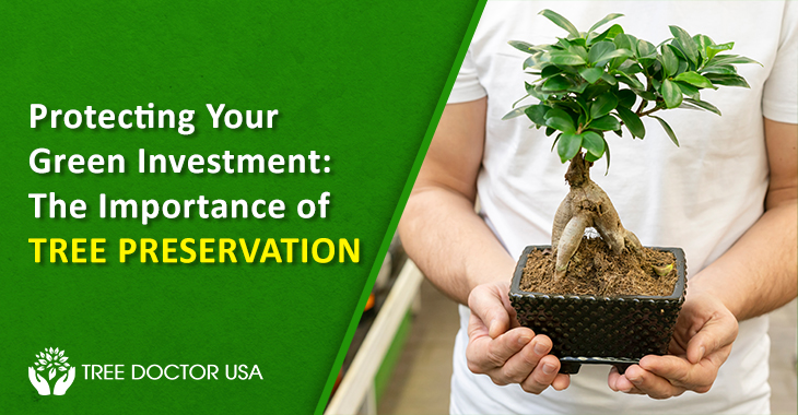 Tree Preservation