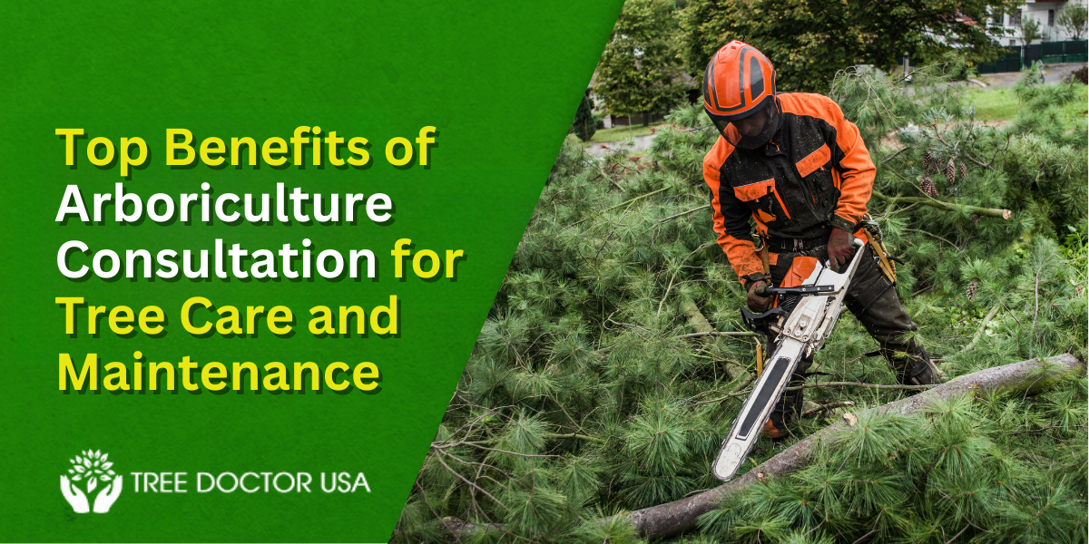 Arboriculture Consulting Services