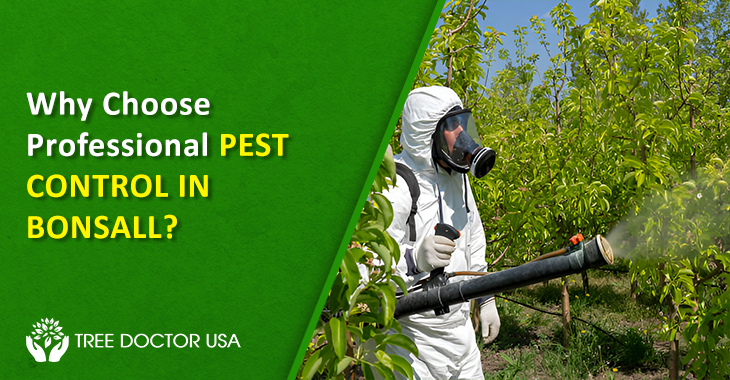 Bonsall Pest Control