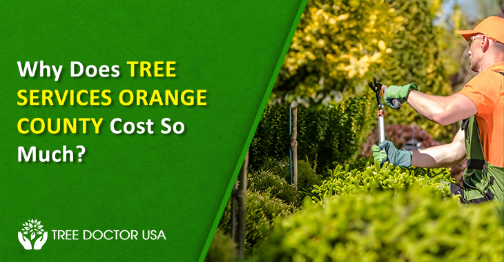 Tree Services Orange County