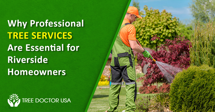 Tree Service Riverside Ca