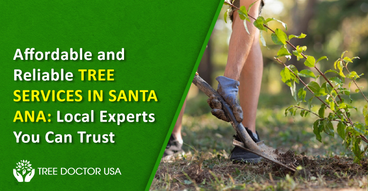 Tree Services Santa Ana