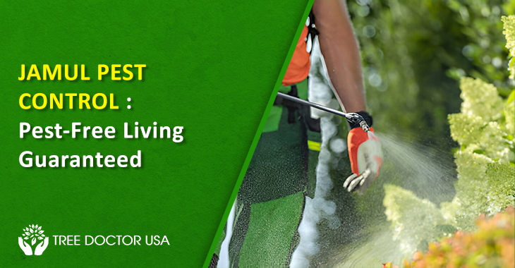 Jamul Pest Control