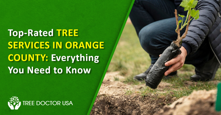 Tree Services Orange County