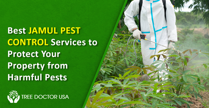Jamul Pest Control