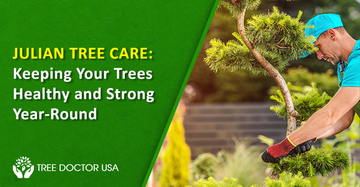 Julian Tree Care