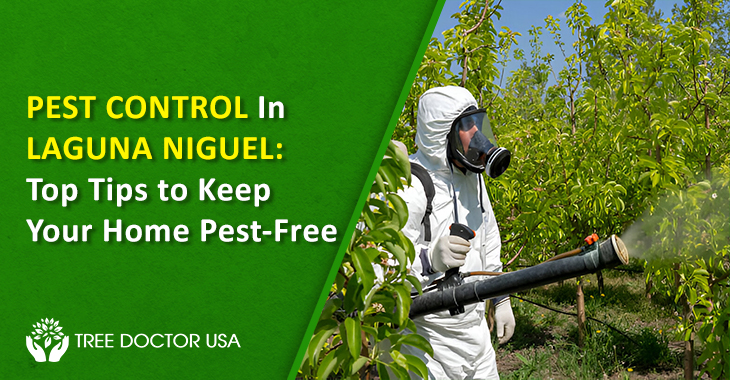 Pest Control Laguna Niguel