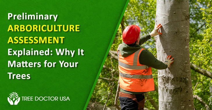 Arboriculture Consultation