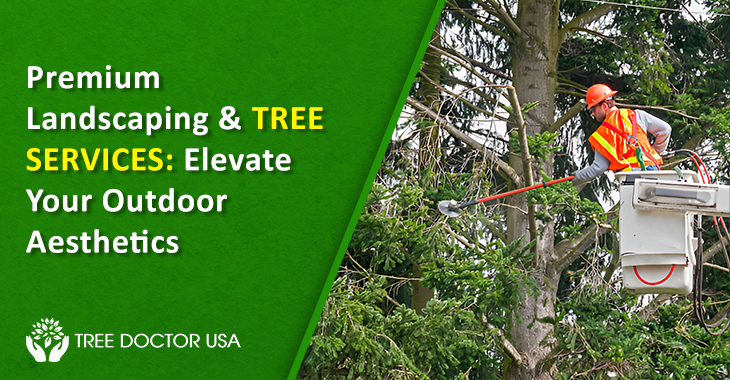 Tree Service Temecula