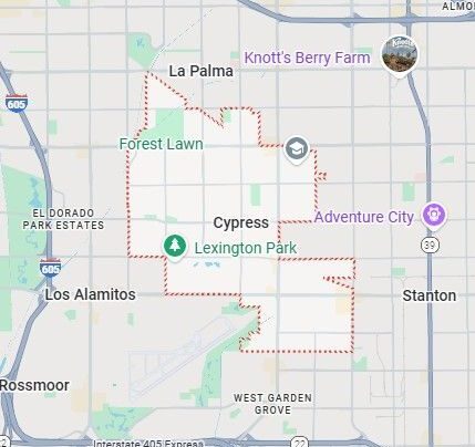 Tree Trimming and Removal Services in Cypress