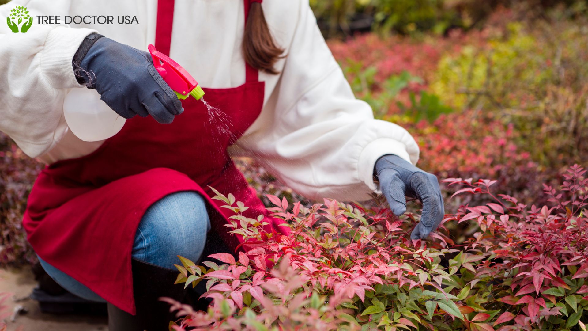 Identifying Sick Trees In Your Landscape
